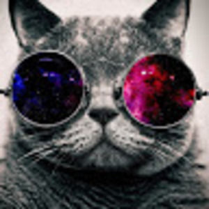 Meet your Posher, Ivan